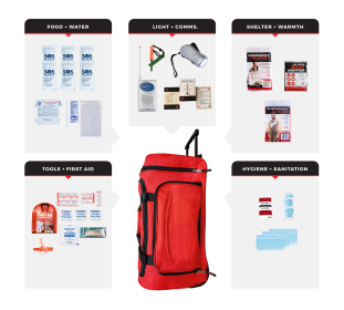 Survival Kit (Prepardness: Necessity Survival Kit, size: 12)
