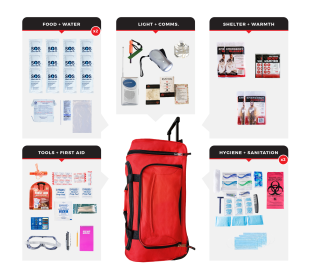 Survival Kit (Prepardness: Essential Survival Kit, size: 16)