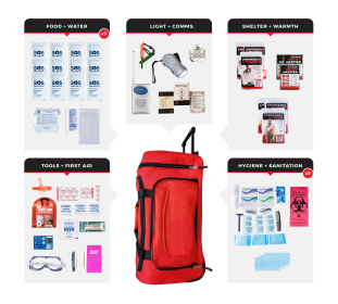 Survival Kit (Prepardness: Essential Survival Kit, size: 18)