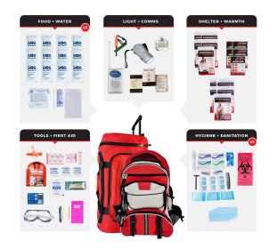 Survival Kit (Prepardness: Essential Survival Kit, size: 22)