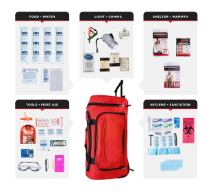 Survival Kit (Prepardness: Essential Survival Kit, size: 14)